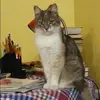 Отзыв от Алевтина Калугина